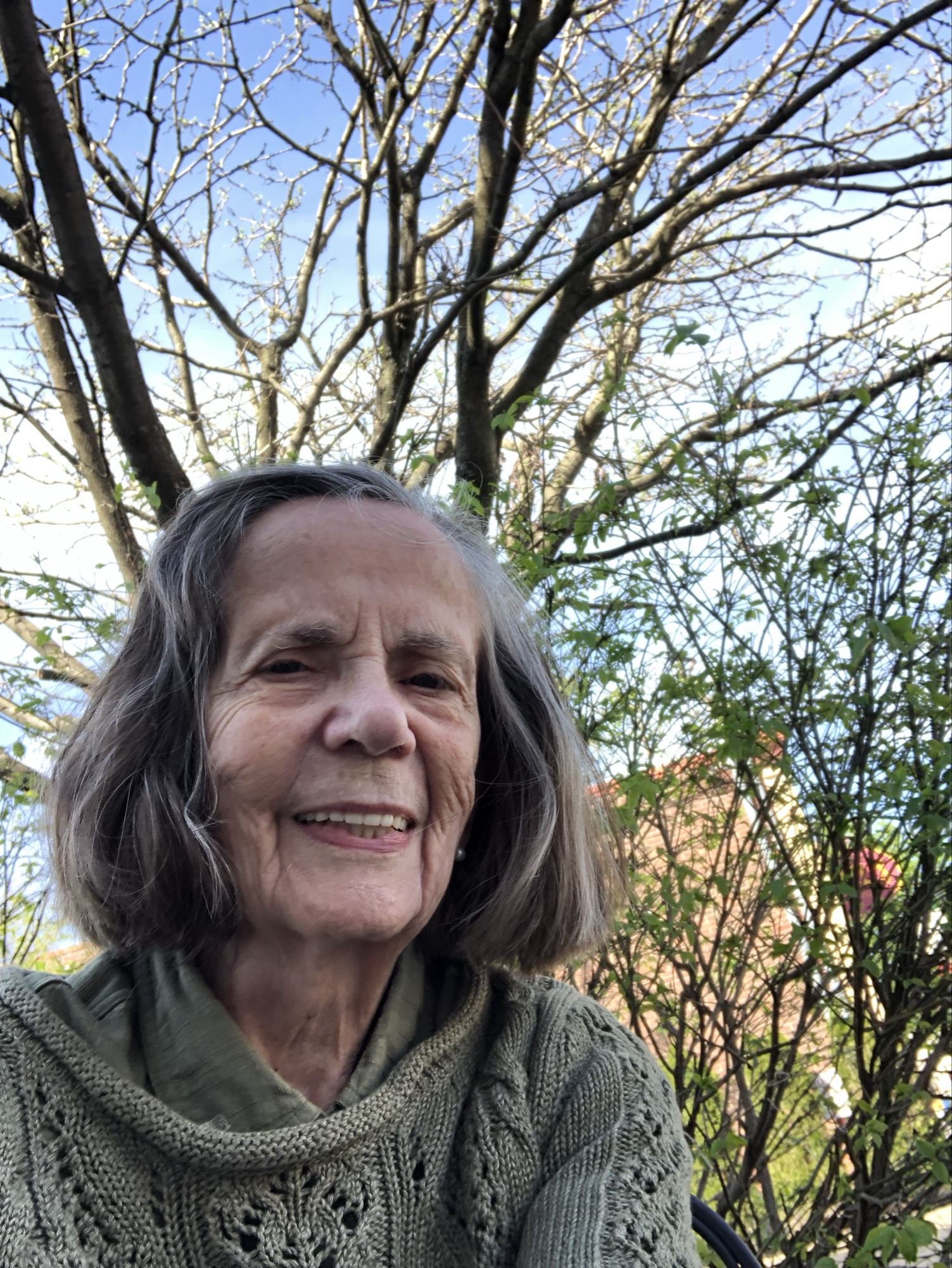Januce Farrell A Poem by N.G. Haiduck – The Paddock Review